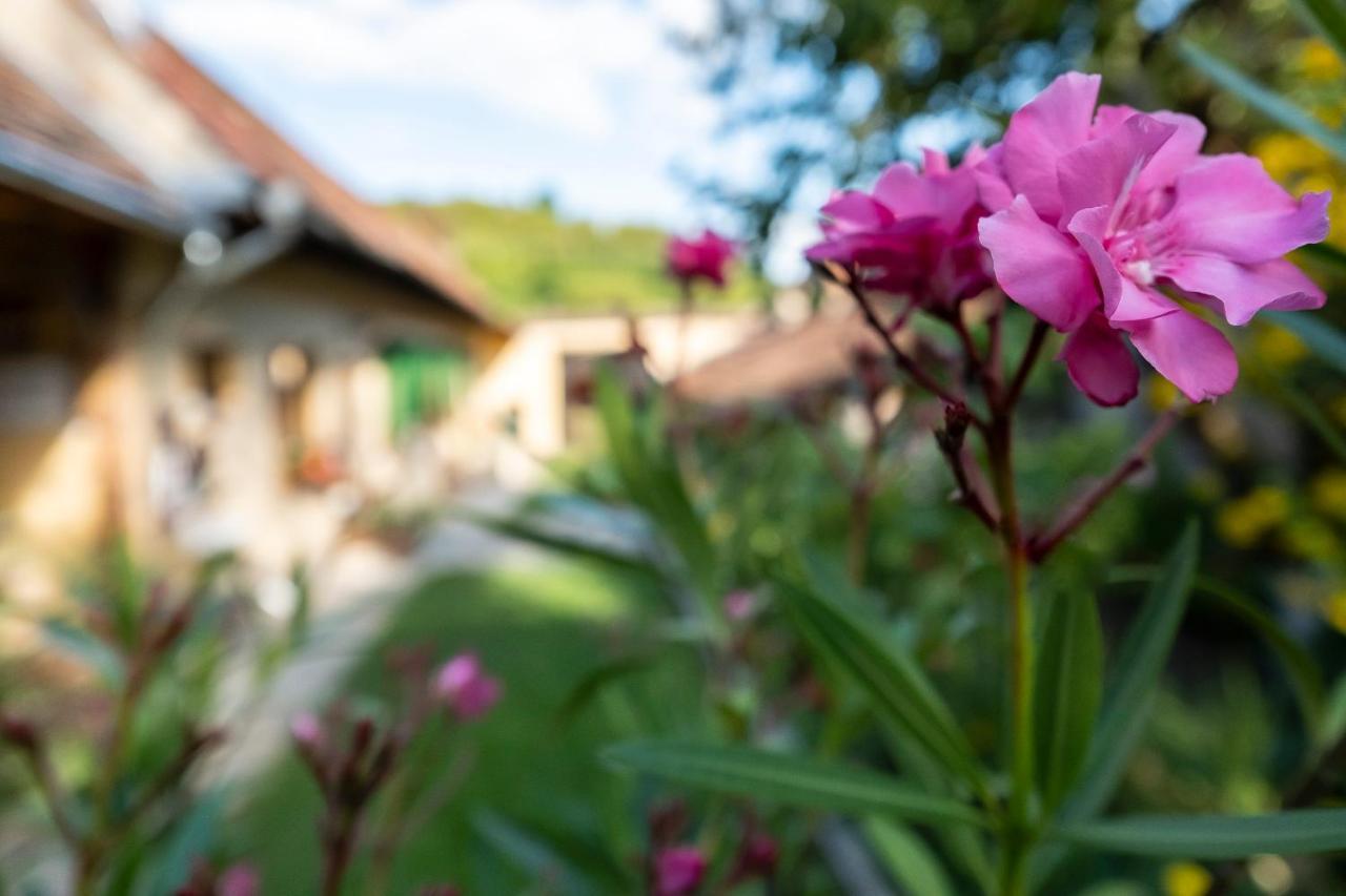 Villa Rihuini Eco Wine House Transylvania Richisu Exterior photo