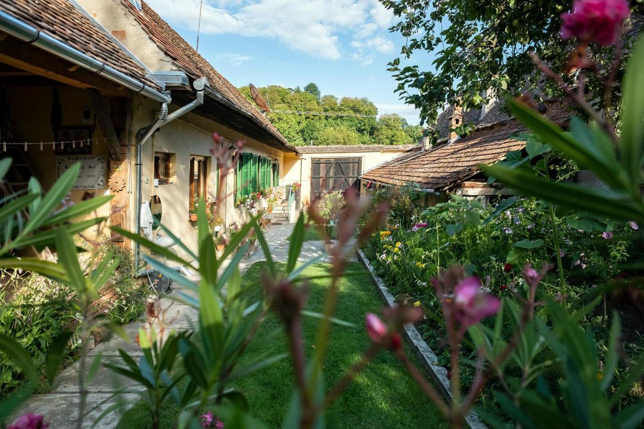 Villa Rihuini Eco Wine House Transylvania Richisu Exterior photo